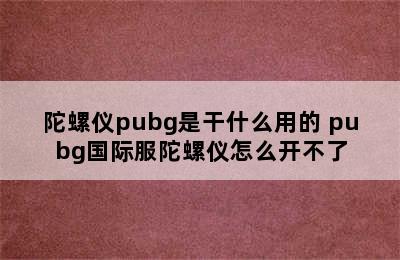 陀螺仪pubg是干什么用的 pubg国际服陀螺仪怎么开不了